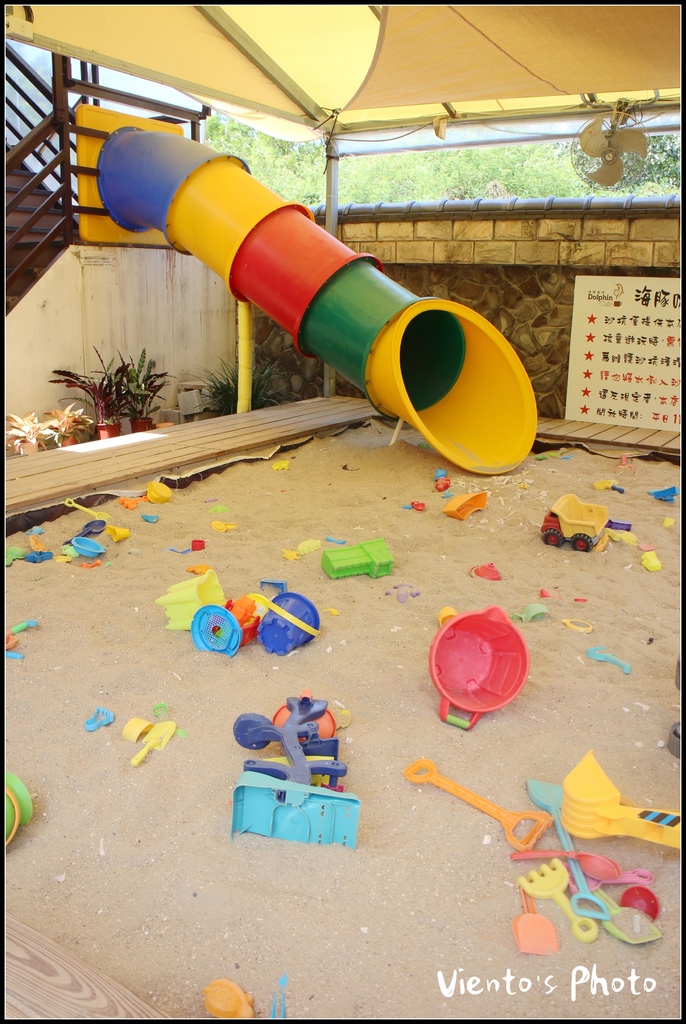 海豚56.jpg 海豚56.jpg