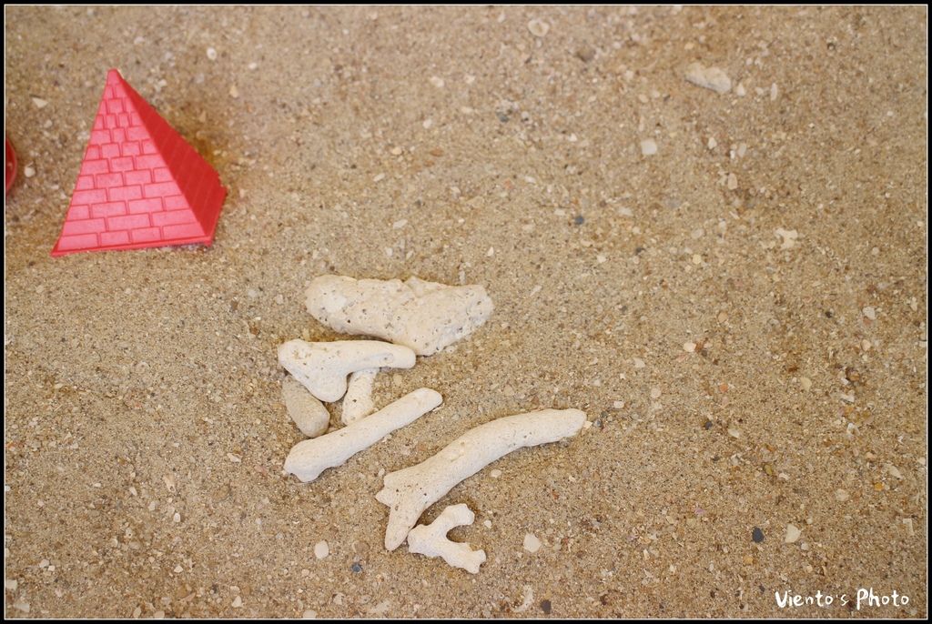 海豚57.jpg 海豚57.jpg