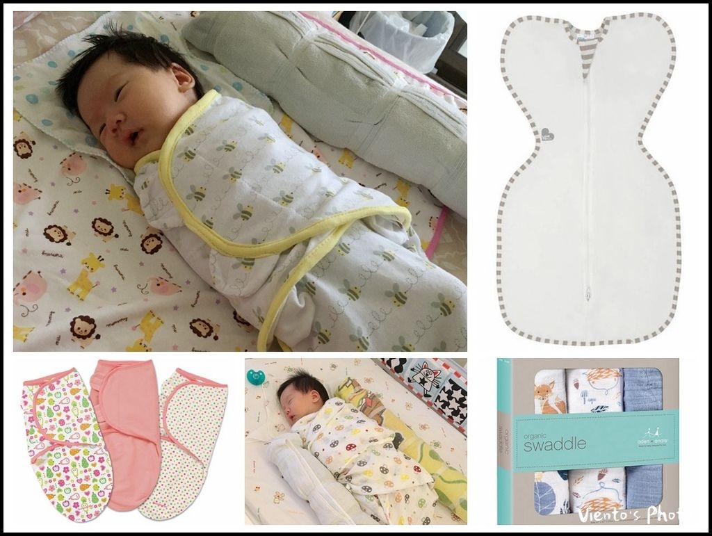 路線1.jpg 路線1.jpg