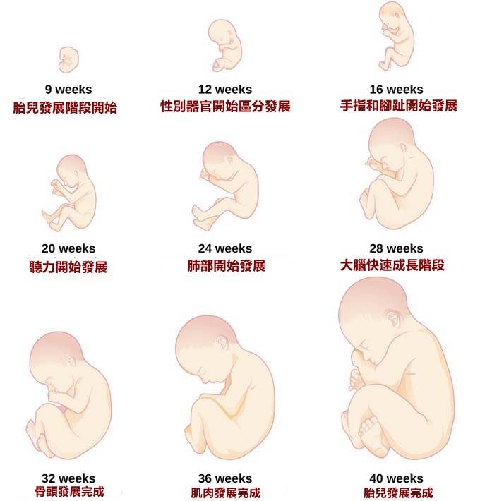 發展1.jpg 發展1.jpg