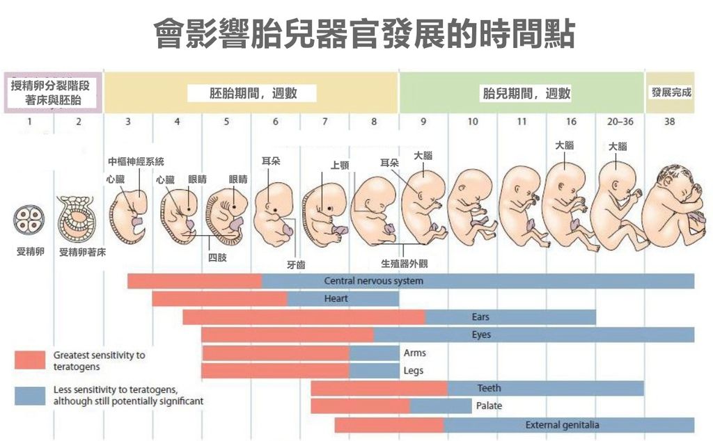 發展2_副本.jpg 發展2_副本.jpg