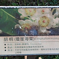 貓鼻頭國家公園-南十字星吶活動_39.JPG