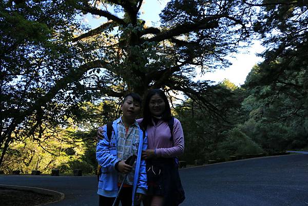 103年10月12日第廿九次露營活動(三)-麟趾山暨玉山登山口_001.JPG