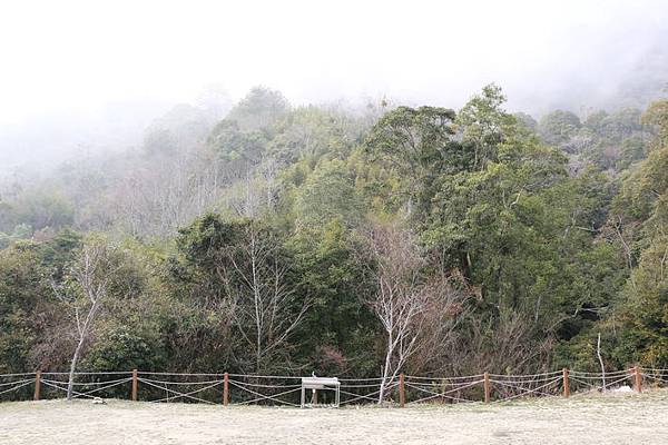 司馬庫斯舊部落營地_076.JPG