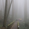 104年09月27日特富野古道健行00047.JPG