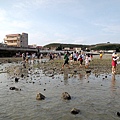 20140515-80.JPG