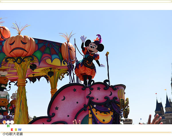 DSC_3121 DSC_3121