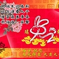 2011春雁子.jpg