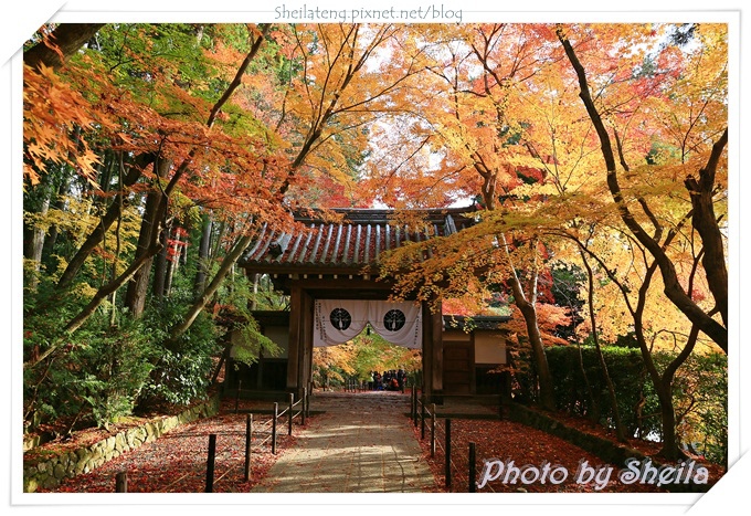 光明寺1.JPG 光明寺1.JPG