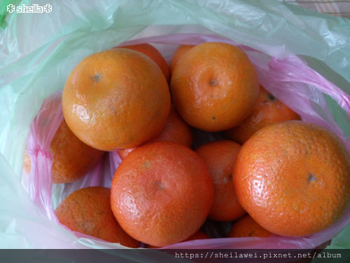 柑s-2.jpg
