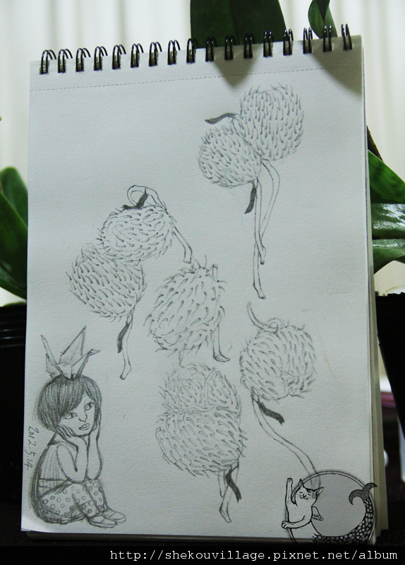 2012_05_14 喪禮上的花 球2