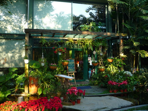 P1160295.jpg