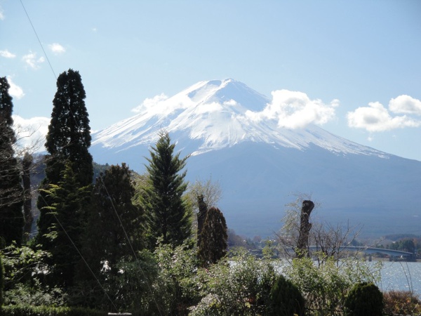 富士山11(湖畔).jpg