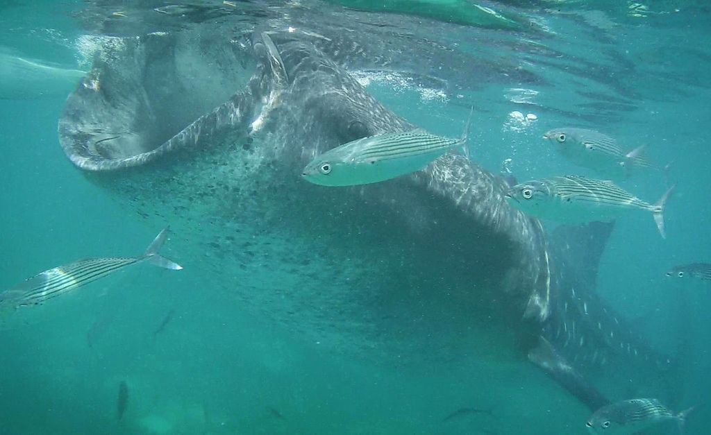 112009-02.jpg 112009-02.jpg