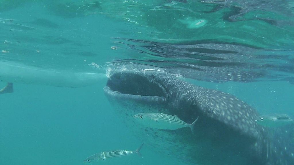 112008-01.jpeg 112008-01.jpeg