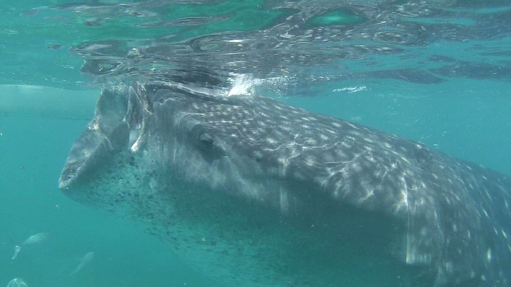 112010-01.jpeg 112010-01.jpeg