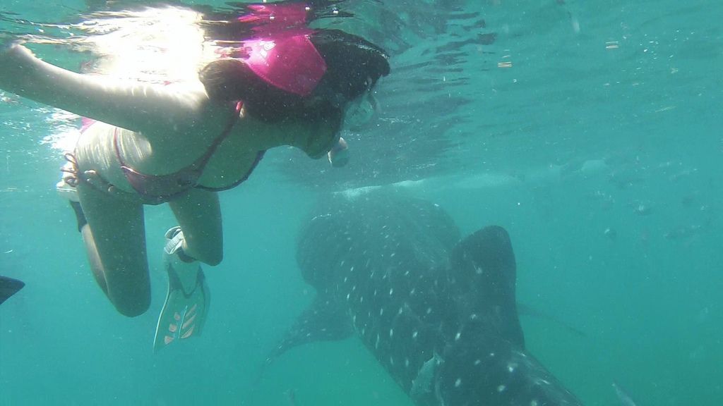 112014-01.jpeg 112014-01.jpeg