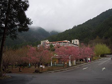 2014.3.1 093.jpg 2014.3.1 093.jpg