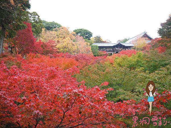 東福寺-19.jpg