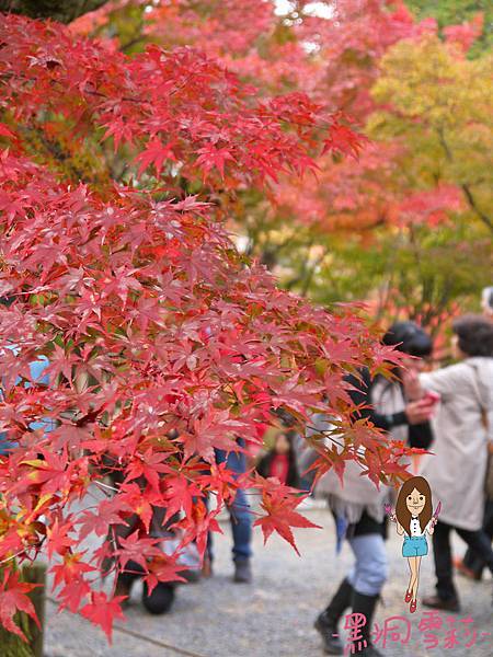 東福寺-30.jpg