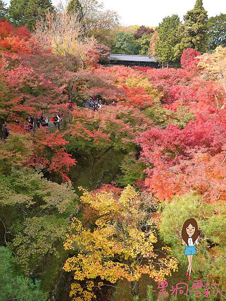 東福寺-39.jpg