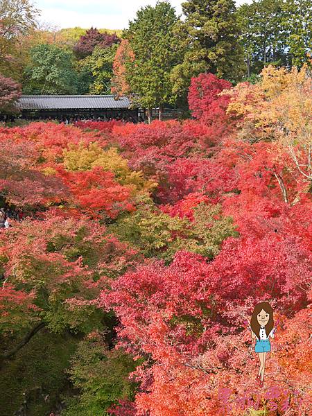 東福寺-40.jpg