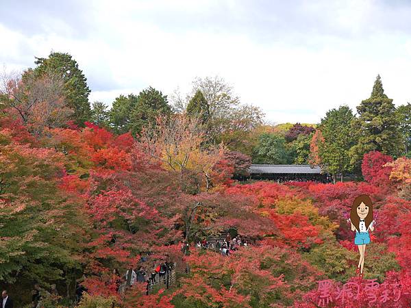東福寺-41.jpg
