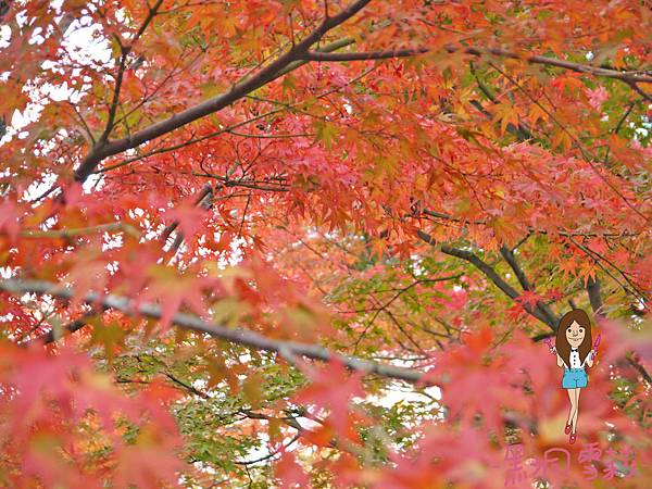 東福寺-52.jpg