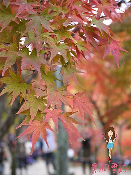 東福寺-53.jpg