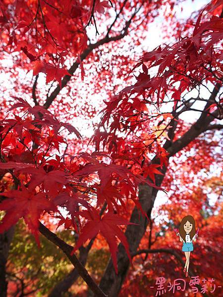 東福寺-58.jpg