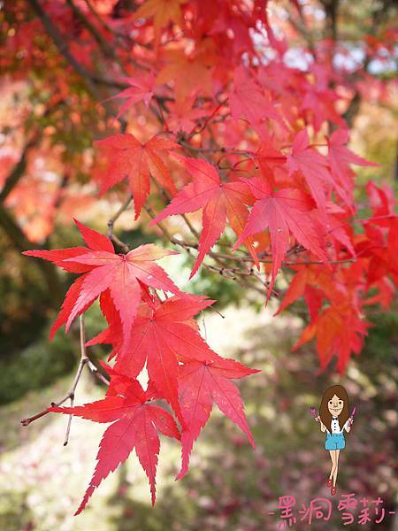 東福寺-57.jpg