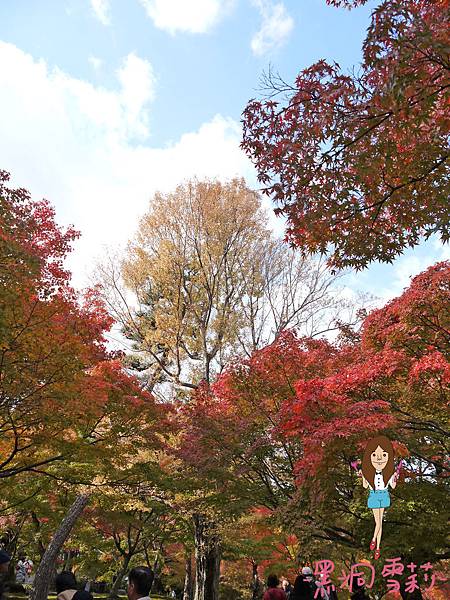 東福寺-65.jpg