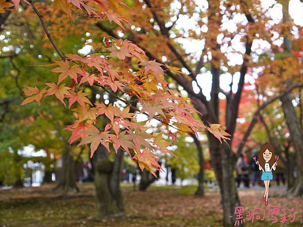 東福寺-66.jpg