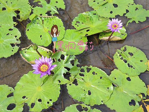 宜蘭住宿(北方扎特)-47.jpg 宜蘭住宿(北方扎特)-47.jpg