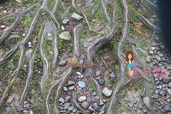 宜蘭住宿(明池山莊)-62.jpg 宜蘭住宿(明池山莊)-62.jpg