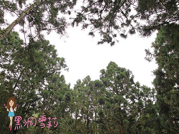 宜蘭住宿(明池山莊)-35.jpg 宜蘭住宿(明池山莊)-35.jpg