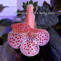 Kohleria 'HCY's Baby Owls' HCY 的貓頭鷹寶寶 20170508_183718