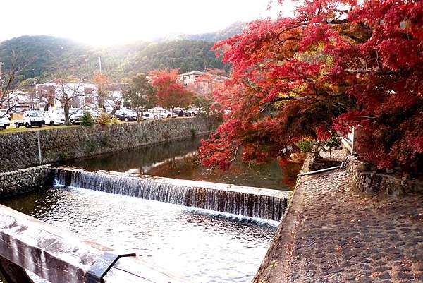 紅葉 森 景觀園藝 痞客邦