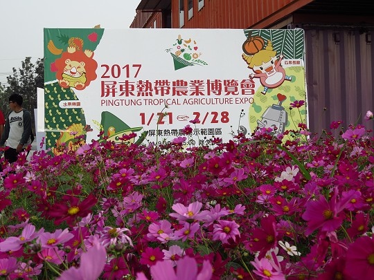019.jpg 019.jpg