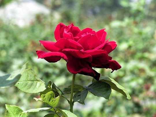 022.jpg 022.jpg
