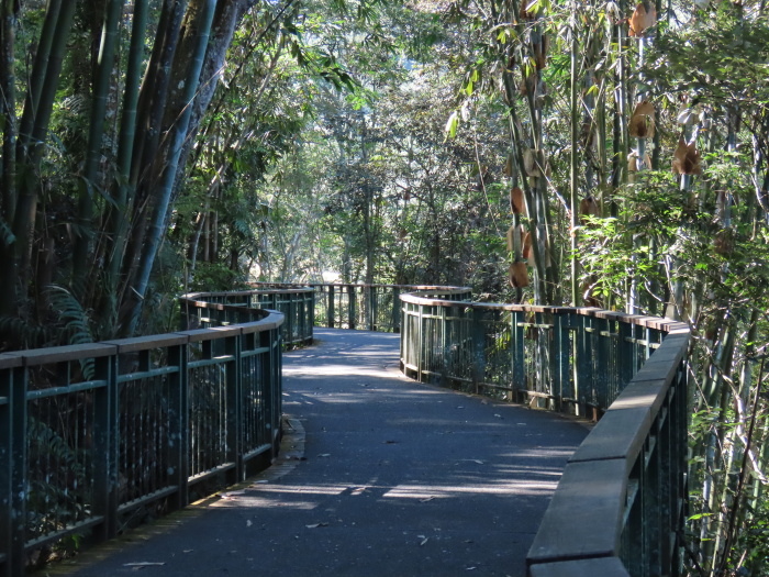 日月潭國家風景區-向山自行車步道