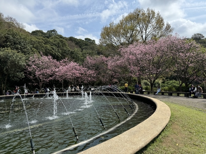 福山植物園&棲蘭神木園區&野柳地質公園&竹子湖海芋花&陽明山