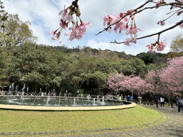 福山植物園&棲蘭神木園區&野柳地質公園&竹子湖海芋花&陽明山