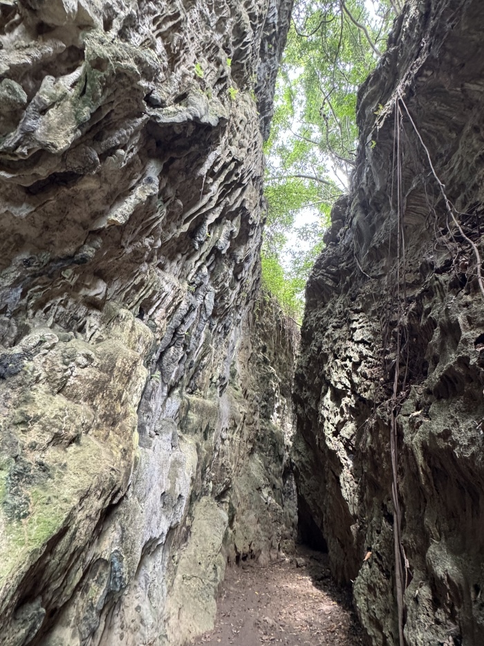 高雄田寮石母乳一線天