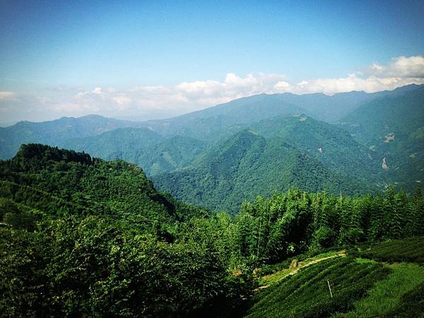 喝下午茶旁的美景