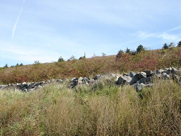 這些石頭...我猜是冰河遺跡