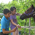 IMG_0025.JPG