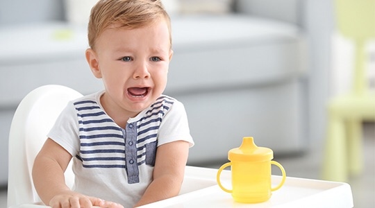 S__283566087 S__283566087