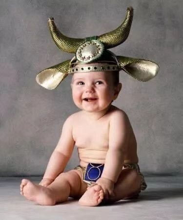 金牛座.jpg 金牛座.jpg