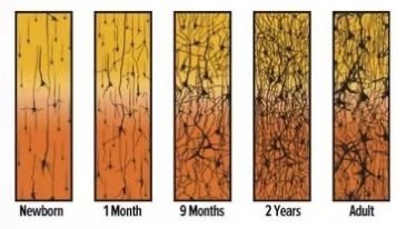 A1B292B7-1A1A-441E-A95B-B0C97FDC1457 A1B292B7-1A1A-441E-A95B-B0C97FDC1457